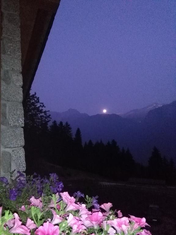 Agriturismo Valsaviore Cevo Eksteriør bilde